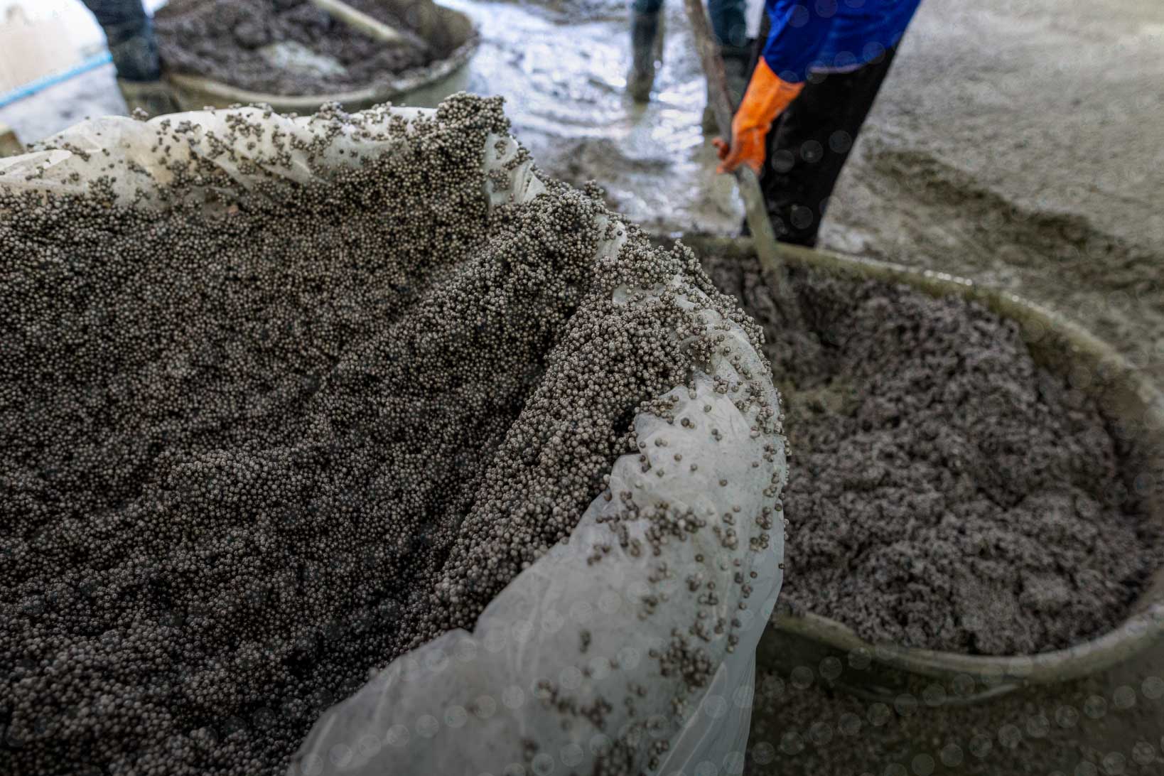 โฟมซีเมนต์